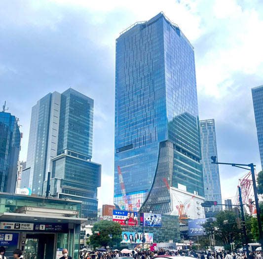 A Quick Guide to Tokyo! (Pt. 1)