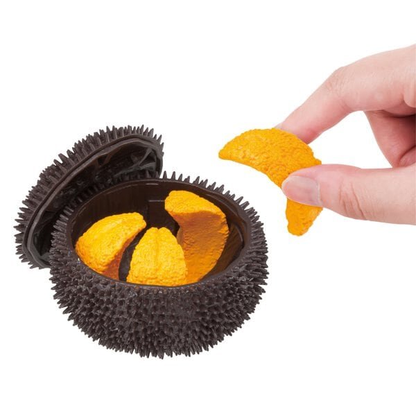 Sea Urchin Puzzle