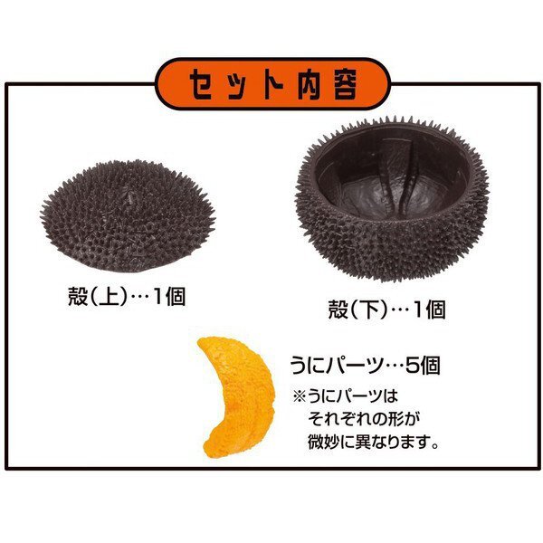 Sea Urchin Puzzle