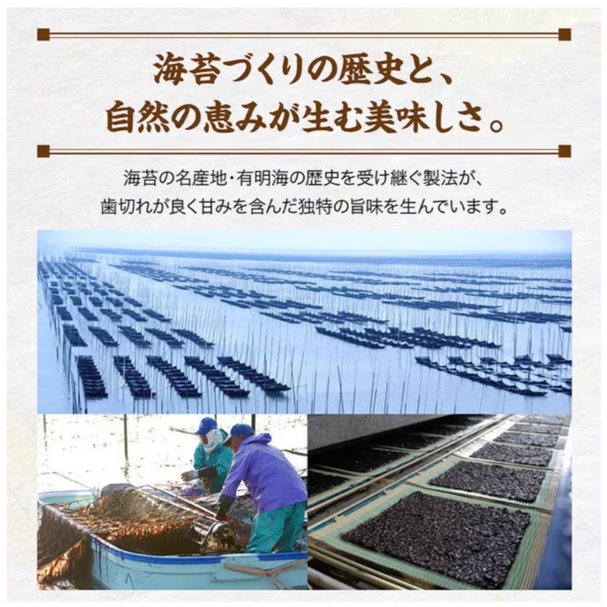 Saga Nori Seaweed